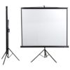 6x6 feet Projector Screen