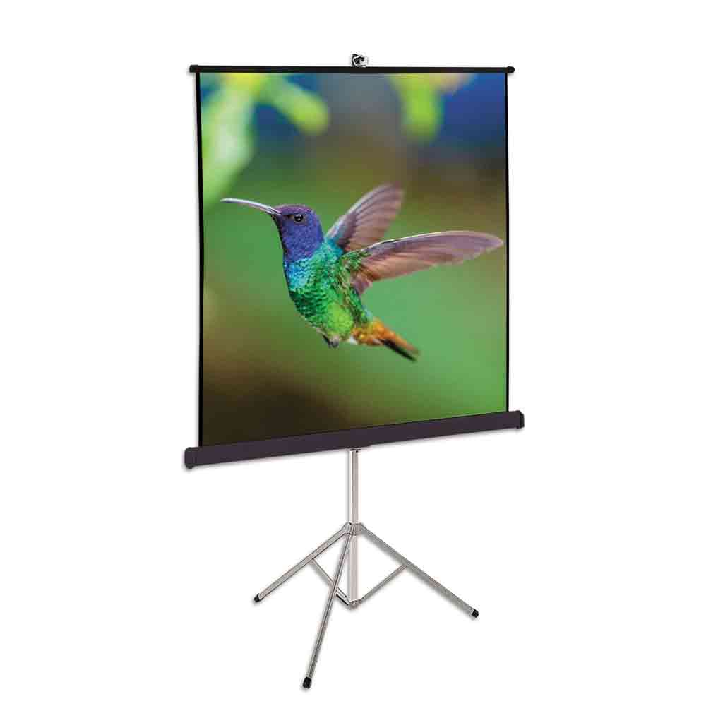 1 x Projector Screen Tripod Stand 5 Feet 60″x60″