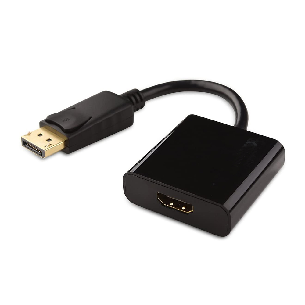 Back view of DisplayPort to HDMI Adapter Showing Connectivity Ports