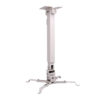 Telescoping Arm Ceiling Installation Option
