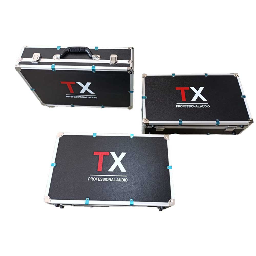 TX Dual Handheld Wireless Microphone System - UR-100M